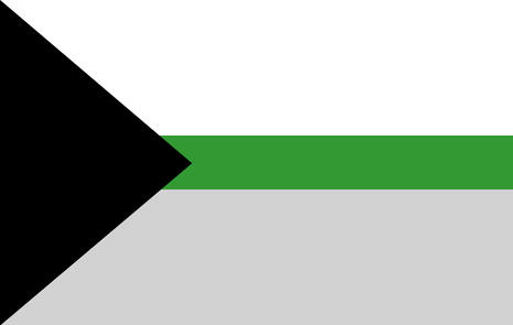 A flag with 2 horizontal stripes at the top/bottom and a thinner center stripe in white, green, and light grey. There is a black triangle that covers the edge of the left side, which points towards the middle.